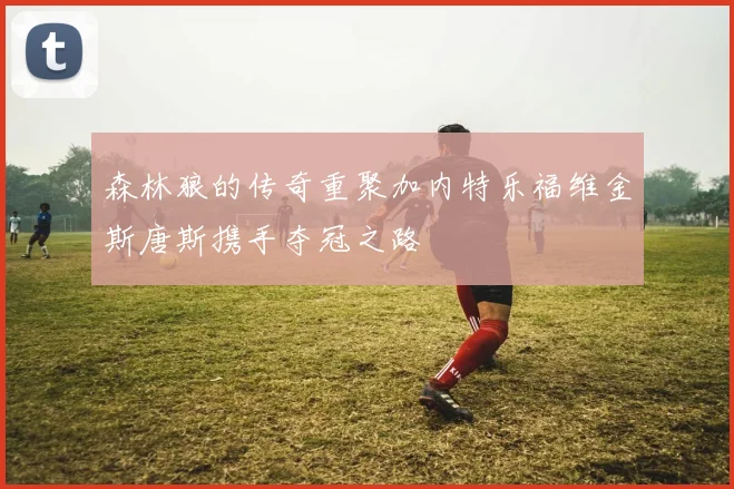 森林狼的传奇重聚加内特乐福维金斯唐斯携手夺冠之路